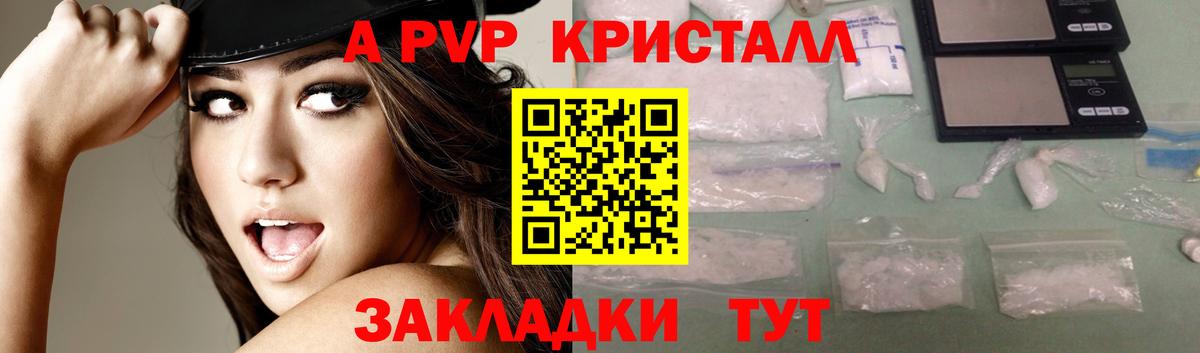 Alpha PVP СК КРИС Будённовск