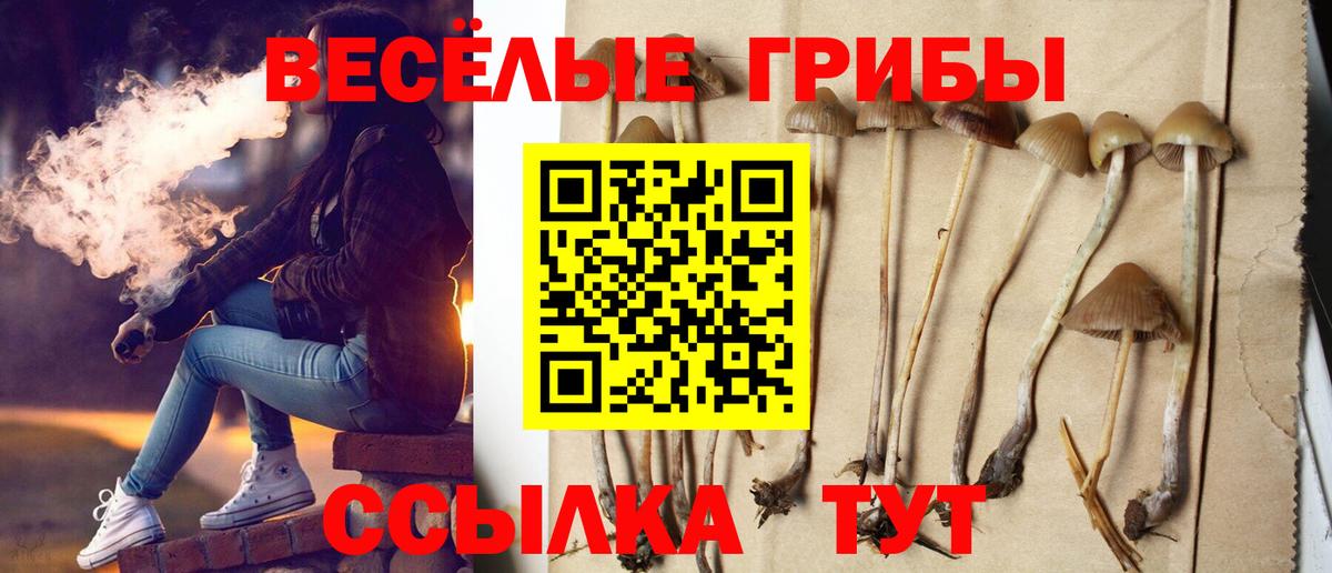 Будённовск  Псилоцибиновые грибы мицелий  Вход с VPN  Галлюциногенные грибы Psilocybine cubensis 